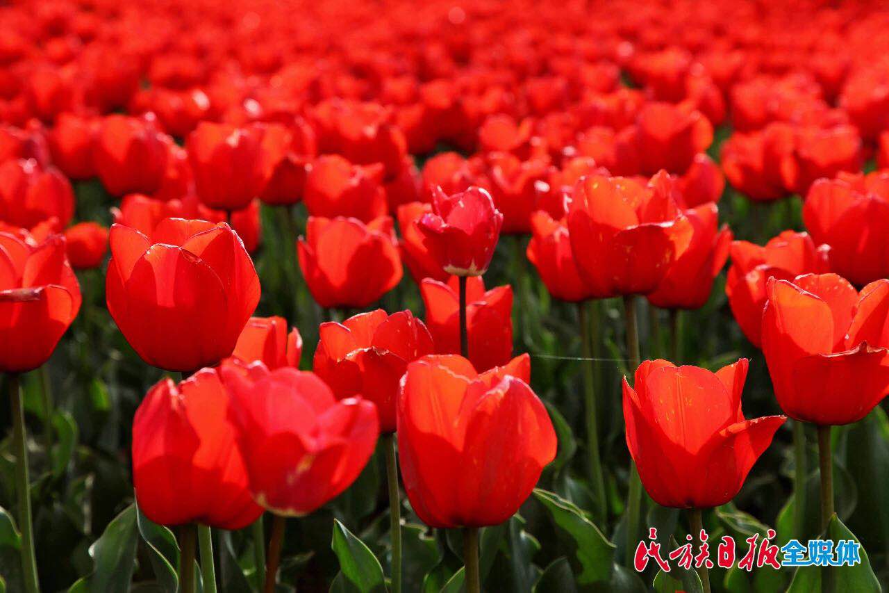 微信图片_202004201137202.jpg 图片