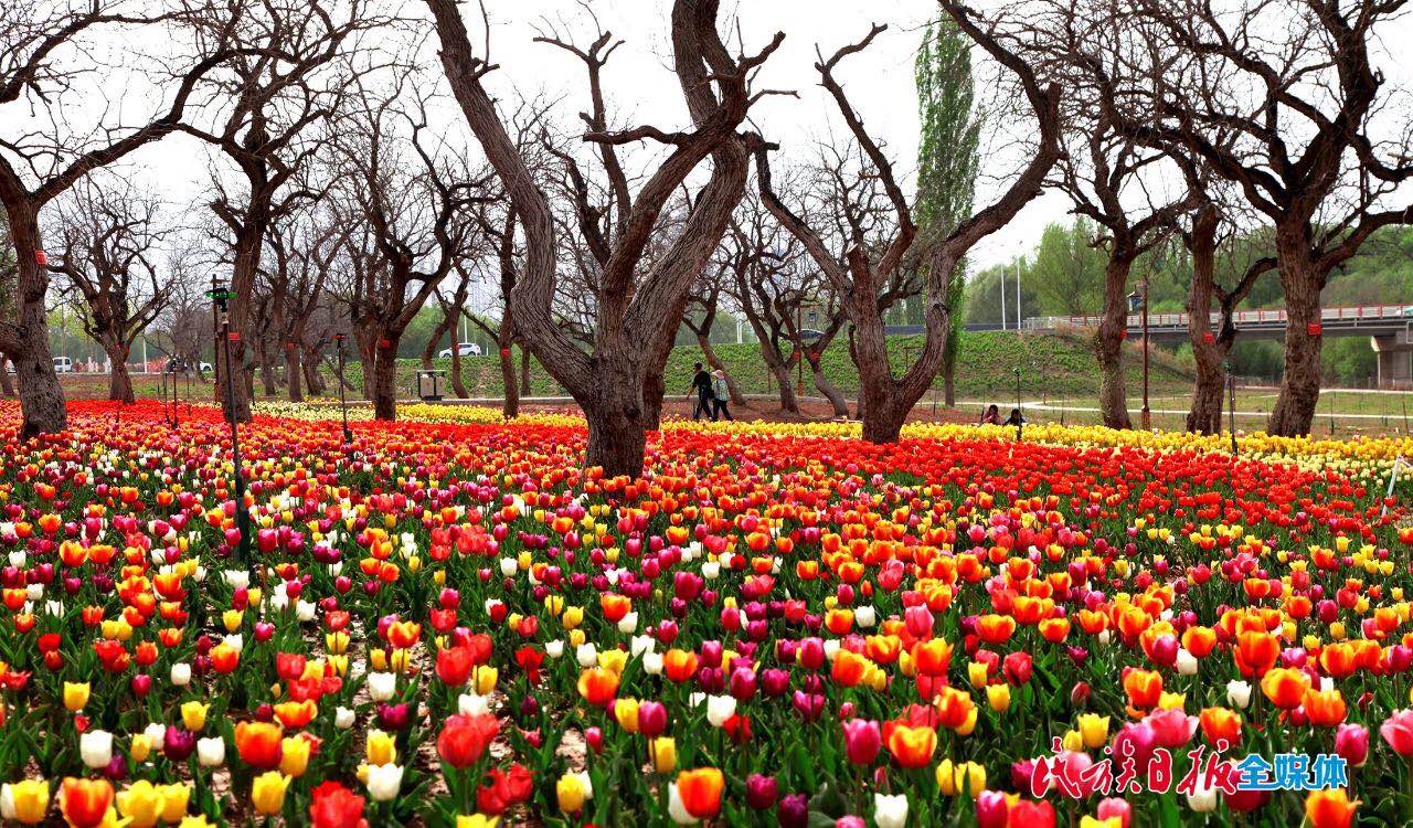 微信图片_202004201137204.jpg 图片